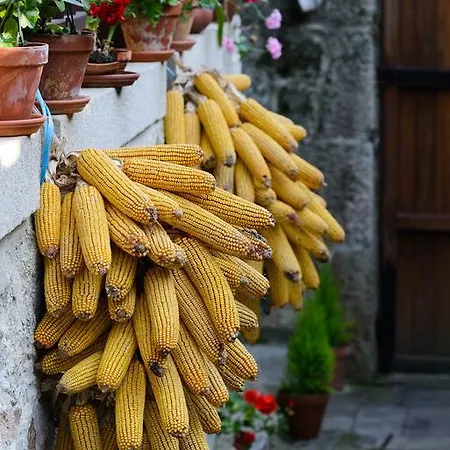 Aldea Bordons Летний дом Санхенхо