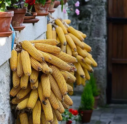 Aldea Bordons Country house Sanxenxo